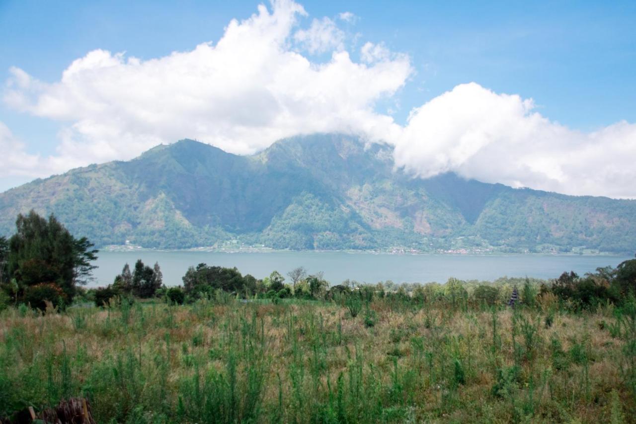 Batur Green Hill Kintamani Buitenkant foto